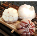 2016 NEW CROP GARLIC